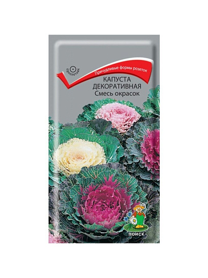 Семена Цветы, Капуста декоративная, Смесь окрасок, 0.25 г, цветная упаковка, Поиск
