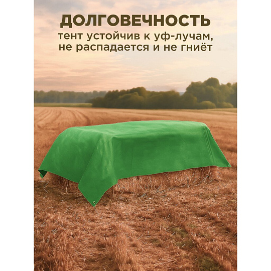 Тент универсальный, 600х500 см, 100 г/м2, TP-100-5-6-GR/SL