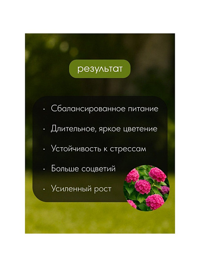 Удобрение для гортензий, пролонгированное, с биодоступным кремнием, ведро, 800 г, Bona Forte
