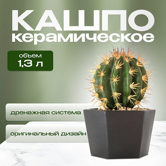Кашпо керамика, 1.3 л, 15х11 см, шестигранник, черное, Эджес №3, 049737