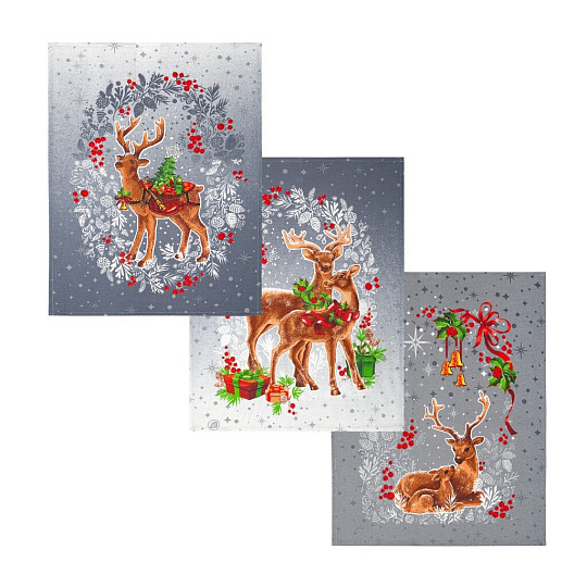 Набор полотенец кухонных 3 шт, 45х60 см, рогожка, 100% хлопок, АртДизайн, Полярная звезда, Россия, НЗ_ПКР45.60