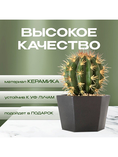 Кашпо керамика, 0.7 л, 12х8.5 см, шестигранник, черное, Эджес №2, 049720