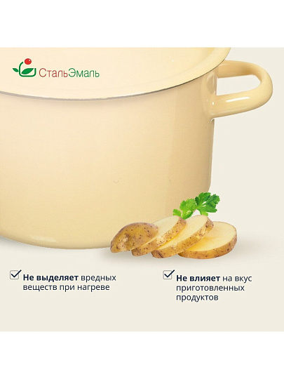 Кастрюля эмалированная сталь, 2.9 л, крышка сталь, СтальЭмаль, 2с16/1, в ассортименте, индукция