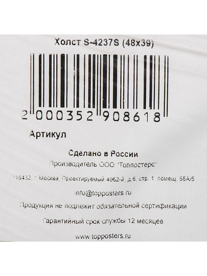 Картина холст, 48х39 см, S-4237S