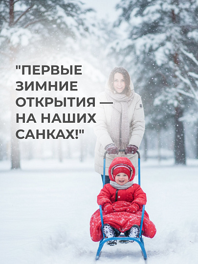 Санки Ветерок, В6+/Г, металлическая спинка, Nika