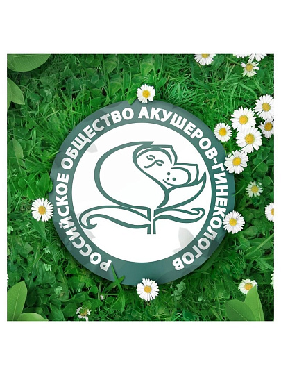 Прокладки женские Naturella, Classic Camomile Normal Single, 9 шт, с крылышками