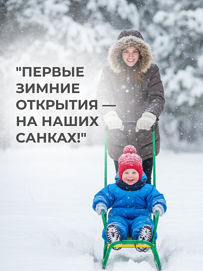 Санки Ветерок, В2/З2, металлическая спинка, ручка, зеленые, Nika