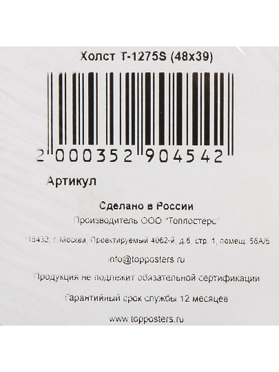 Картина холст, 48х39 см, T-1275S