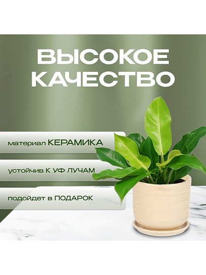Горшок керамика, 0.9 л, 12х12 см, бежевый, Галактика №2, 008652