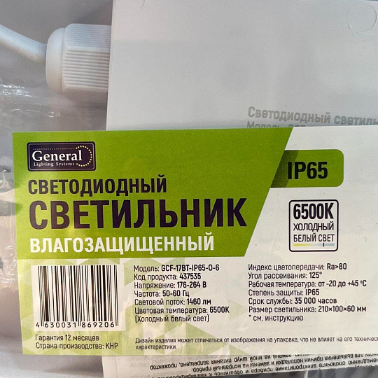 Светильник светодиодный, General Lighting Systems, ЖКХ, 17 Вт, 6500 К, 1440 Лм, IP65, 22х10х5.2 см, овальный, накладной, 437535
