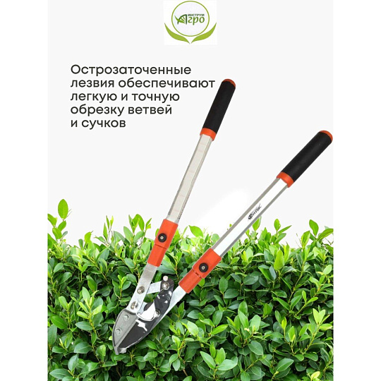 Ножницы садовые для кустарников, 450 мм, с овальными ручками, Инструм-Агро, НКТО S331A-В, телескопическая штанга, 010145