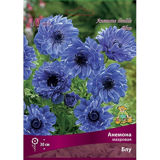 Анемона махровая Блум, 10 шт