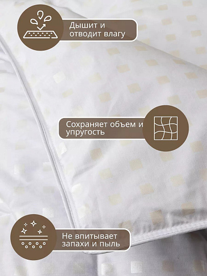 Одеяло 2-спальное, 175х205 см, Формула, полупух I кат, пух 60% перо 40%, 400 г/м2, зимнее, чехол тик, кант, Бел-Поль