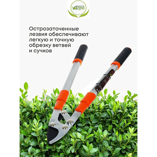 Ножницы садовые для кустарников, 630 мм, Инструм-Агро, НКТО S332A-В, телескопическая штанга, рукоятка алюминий, 010144