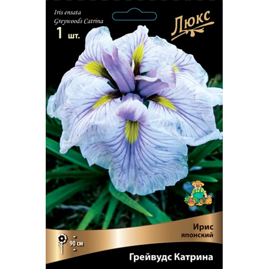 Луковицы Ирис японский, Грейвудс Катрина