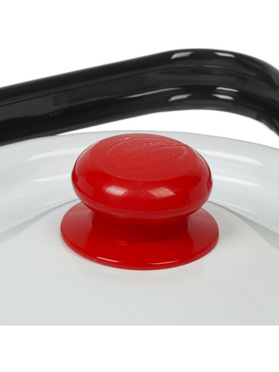 Чайник сталь, эмалированное покрытие, 3.5 л, с кнопкой, Сибирские товары, Цветы красные, белый, С2716.3*95