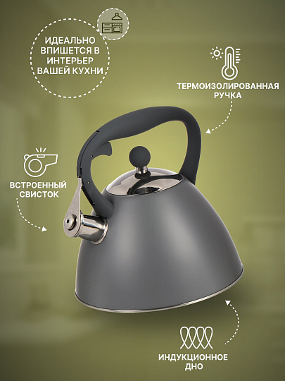Чайник нержавеющая сталь, 2.7 л, со свистком, ручка бакелитовая, с силиконовым покрытием, Daniks, индукция, PR-2202