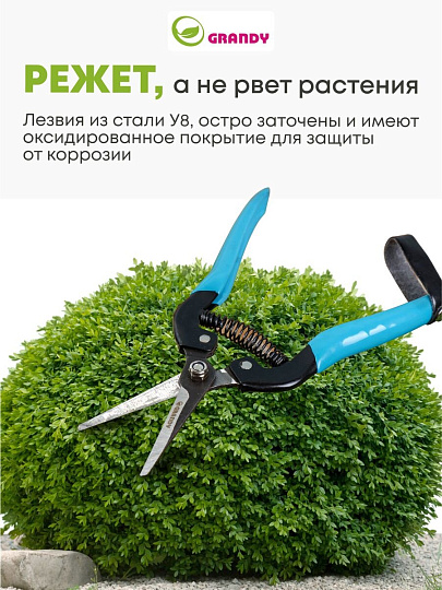 Секатор цветочный, 180 мм, 10 мм, Grandy, рукоятка металл, резина