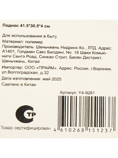 Поднос пластик, 41.5х30.5х4 см см, прямоугольный, Y4-9281