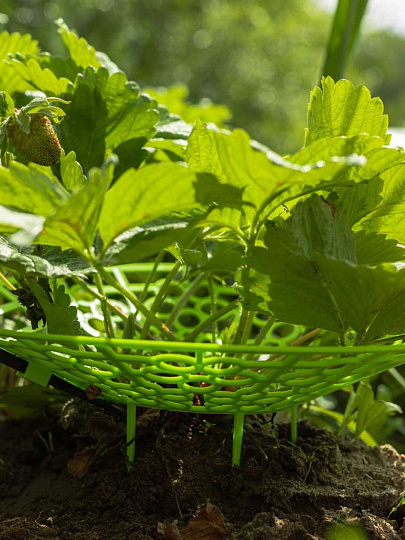 Набор для капельного полива клубники №30, от водопровода, на 20 раст, Жук, 9064-00