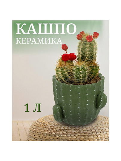 Кашпо керамика, 1 л, 14х12х14 см, Кактус, Y4-3081
