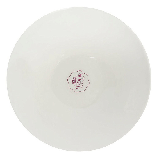 Чайная пара из фарфора Tudor England Royal white TU9999-4, 350 мл