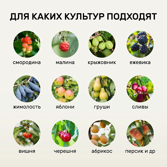 Удобрение Биомолекулы, для ягод, 400 мл, Удобряй