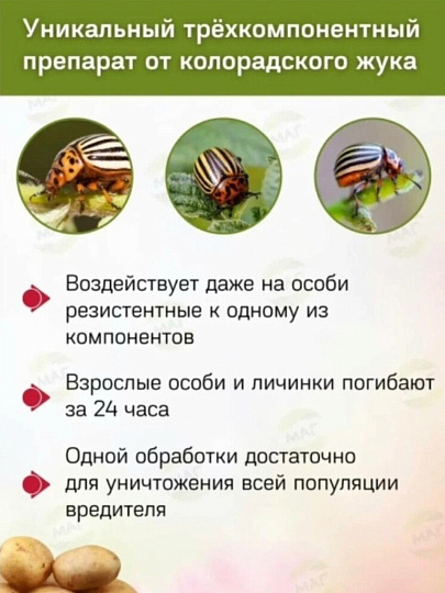 Инсектицид Жукоед, от колорадского жука, жидкость, 9 мл, Avgust