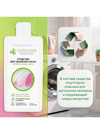 Пятновыводитель Clean Home, Быстрое решение, 250 мл
