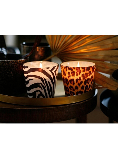 Свеча 8.5х9 см, в ассортименте, Bartek Candles, Африка, в стакане, 115 г