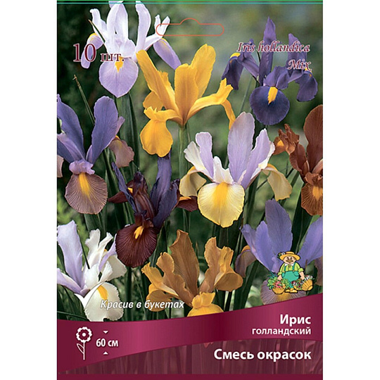 Луковицы Ирис голландский, смесь окрасок, 10 шт