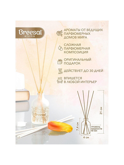 Аромадиффузор Breesal, 40 мл, Arome Sphere 1001 ночь, ARD/001