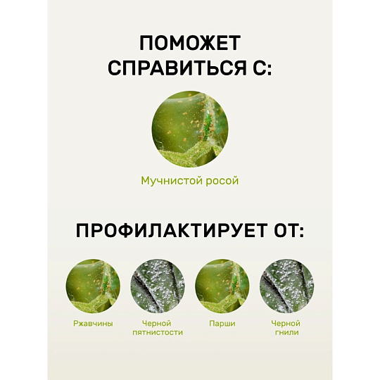 Фунгицид Защищай!, от мучнистой росы, 450 мл, спрей