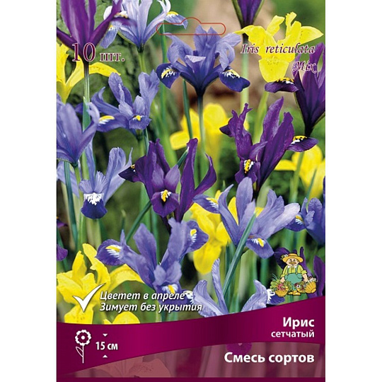 Луковицы Ирис сетчатый, смесь окрасок
