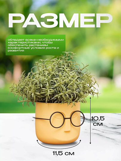 Кашпо пластик, 0.65 л, 11.5х10.5 см, со вставкой, банановое, Idea, Стив, М 3079