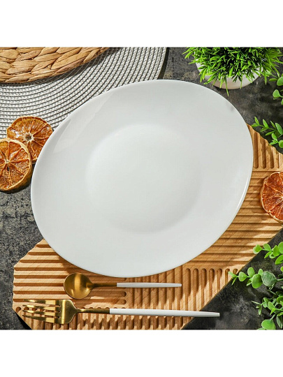Тарелка обеденная, стеклокерамика, 26.8 см, овальная, Модерн, Daniks, NOP105W