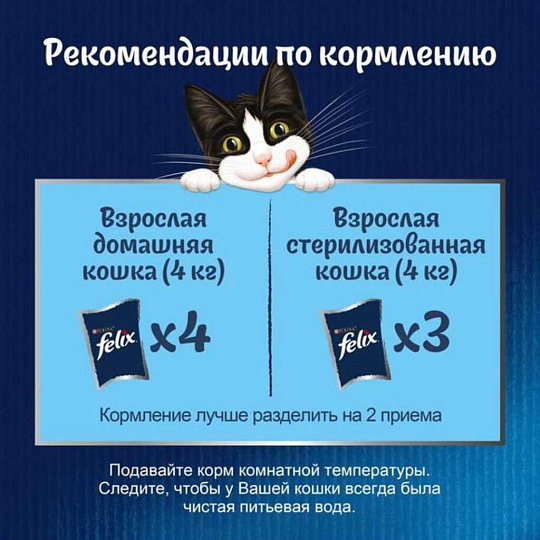 Корм для животных Феликс, Аппетитные кусочки, 75 г, для взрослых кошек, кусочки в желе, кролик, пауч, 12512765