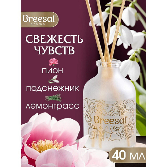 Аромадиффузор Breesal, 40 мл, Arome Sphere Свежесть чувств, ARD/002