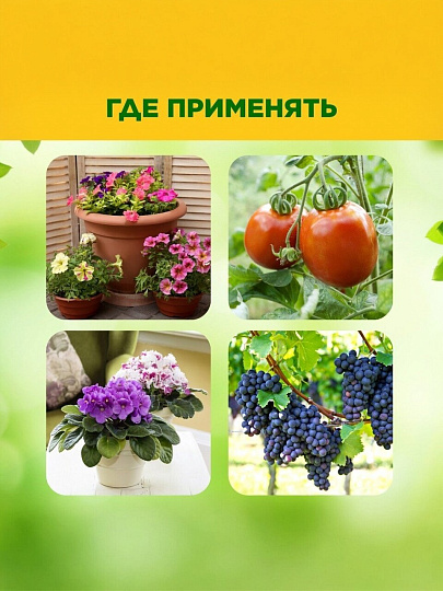 Фунгицид Серное мыло, 350 мл, жидкость, БиоМастер