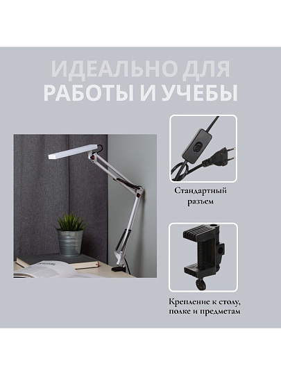 Светильник настольный 8 Вт, белый, Эра, NLED-507-8W-W, Б0058337, на струбцине