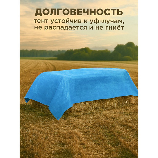 Тент универсальный, 800х600 см, 60 г/м2, люверсы через 1 м, TP-60-6-8-BL