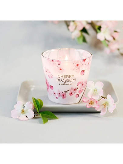 Свеча 8.5х9 см, цилиндр, Bartek Candles, Вишневый цвет, в стакане, 115 г