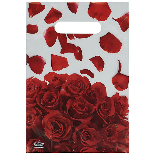 Пакет 20х30 см, 30 мкм, ПЭТ ПВД, с прорезными ручками, в ассортименте, Тико, Бутик