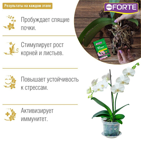 Удобрение Здоровье, для орхидей, минеральное, жидкость, 10 мл, Bona Forte