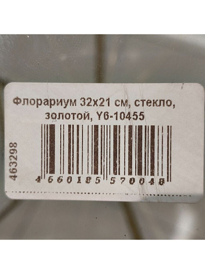 Флорариум 32х21 см, стекло, золотой, Y6-10455