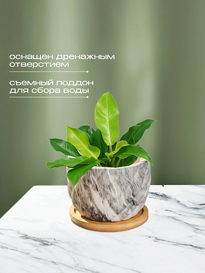 Горшок керамика, 0.2 л, 8.5х8.5х7 см, для кактусов и суккулентов, Мини, Y4-5358