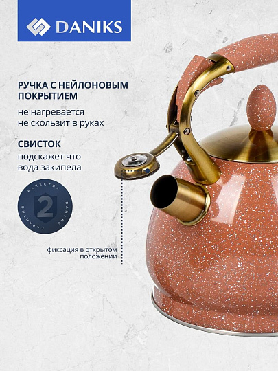 Чайник нержавеющая сталь, 3 л, со свистком, матовый, ручка с покрытием, нейлон, Daniks, индукция, коричневый, GS-04517H-2
