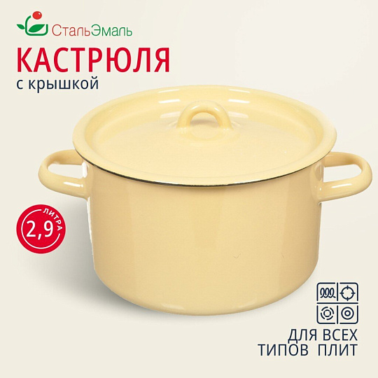 Кастрюля эмалированная сталь, 2.9 л, крышка сталь, СтальЭмаль, 2с16/1, в ассортименте, индукция