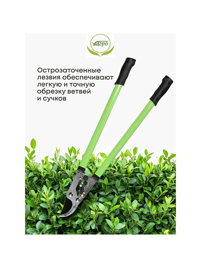 Ножницы садовые для кустарников, лезвие плоскостное, с овальными ручками, Инструм-Агро, НКО D020B-A, 010123