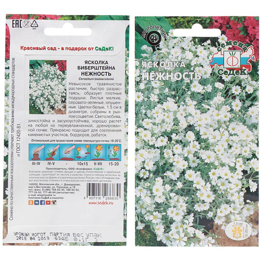 Семена Цветы, Ясколка, Нежность, вид Биберштейна, белая, цветная упаковка, Седек